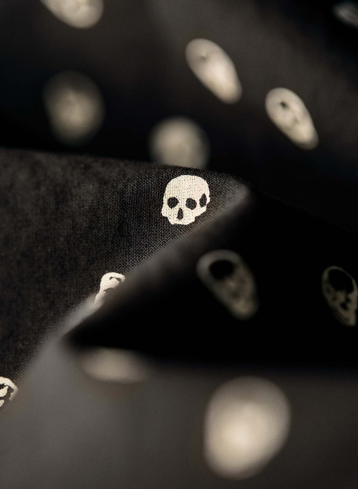 the 