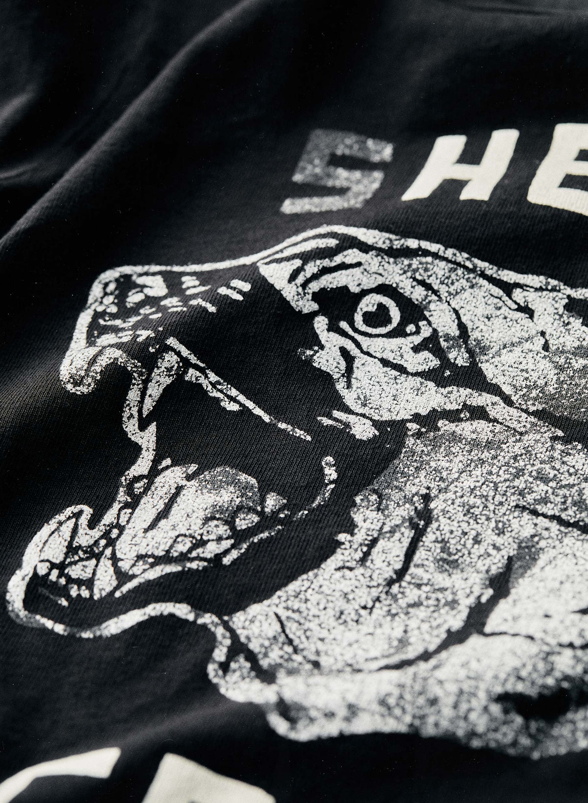 the 