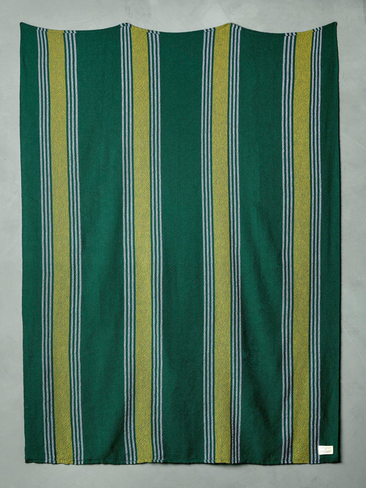 i+w x family heirloom weavers cotton throw in spruce stripe