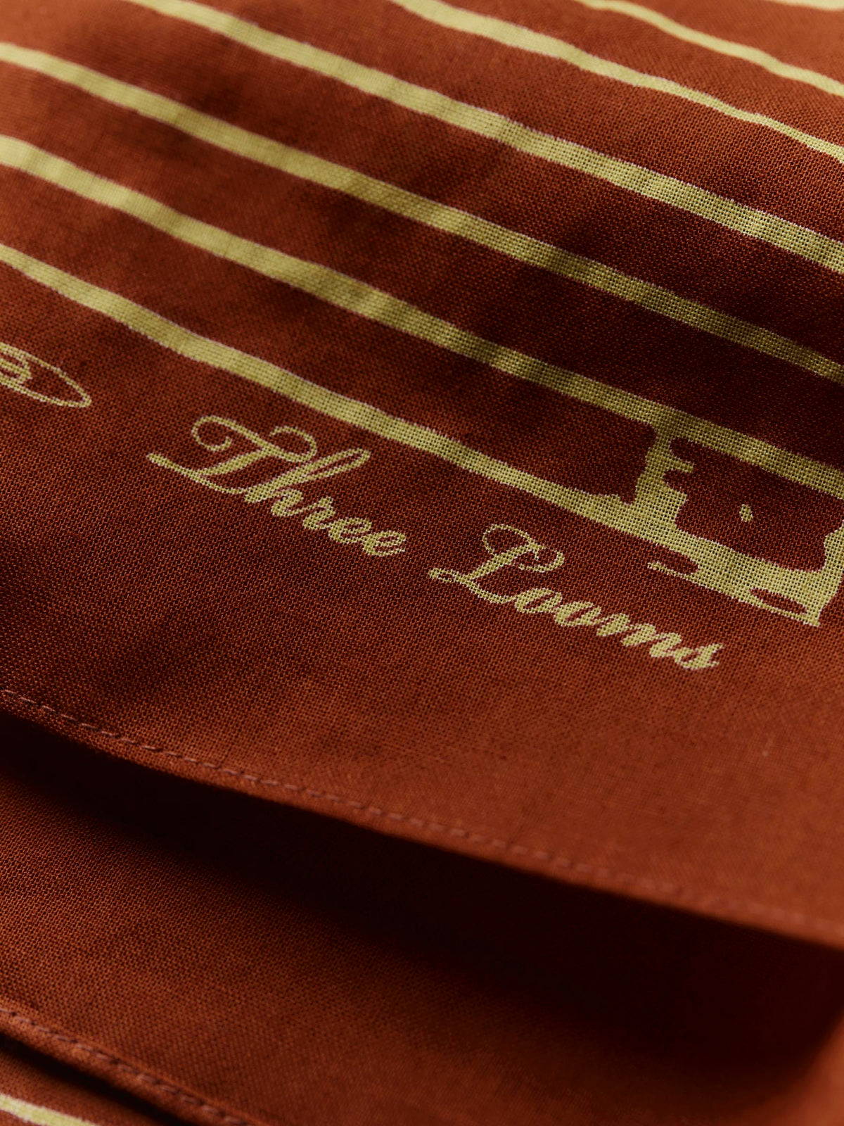 i+w x Three Looms rust bandana scarf